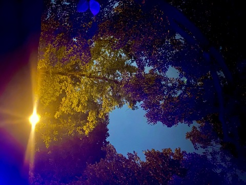 thatslavgirl header picture leakfans.com