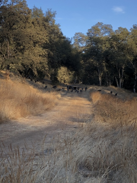 thatsoundingguy header picture leakfans.com