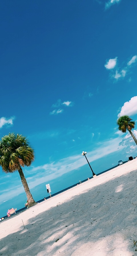 the.official.zoey header picture leakfans.com