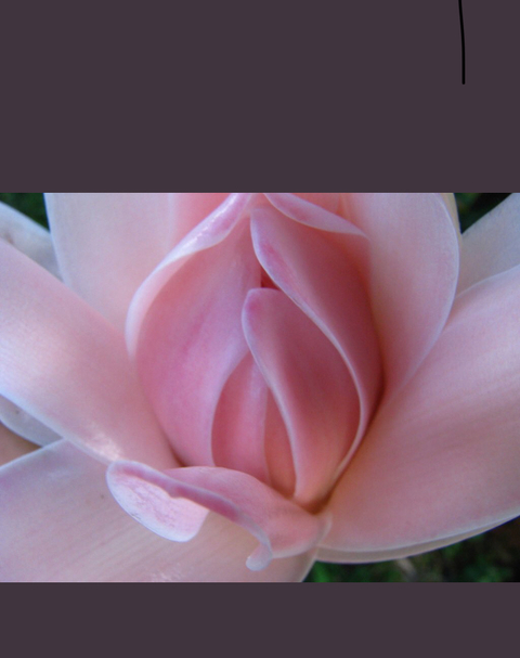 the_daddy header picture leakfans.com