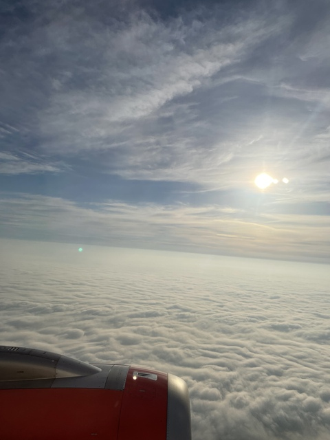 thealicious header picture leakfans.com