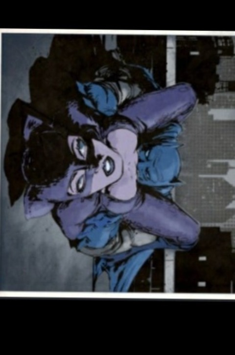 thebatandthecat69 header picture leakfans.com