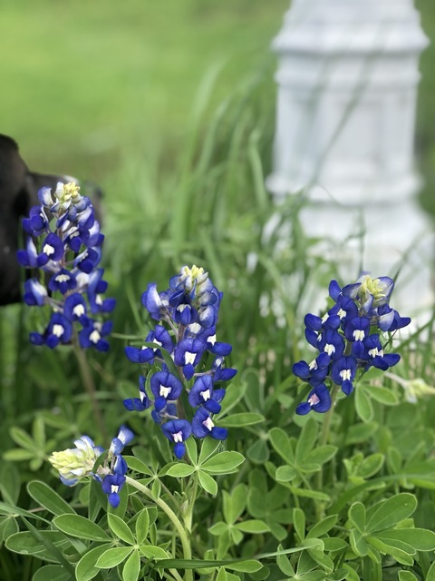 thebeast234 header picture leakfans.com