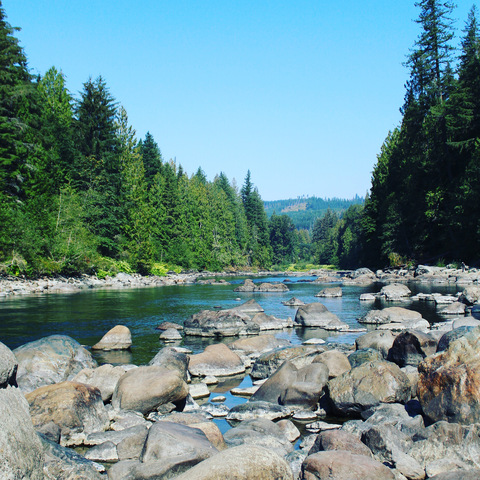 thebiga header picture leakfans.com