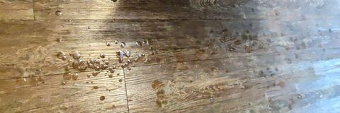 thecasanovaguy header picture leakfans.com