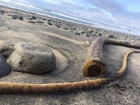 thecatholicbrat header picture leakfans.com