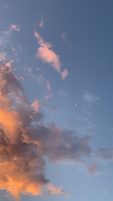 thecreatureinside header picture leakfans.com