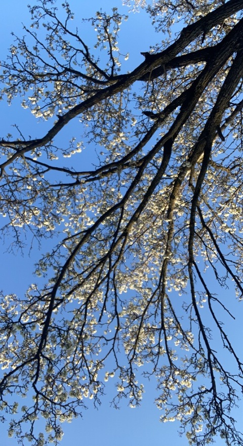 thedarkdoe header picture leakfans.com