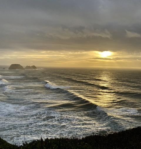 thedivinetaurus header picture leakfans.com