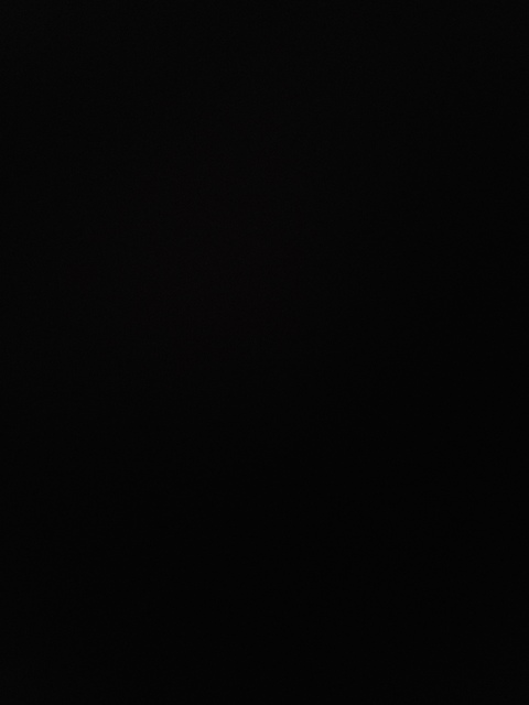 thedomm header picture leakfans.com