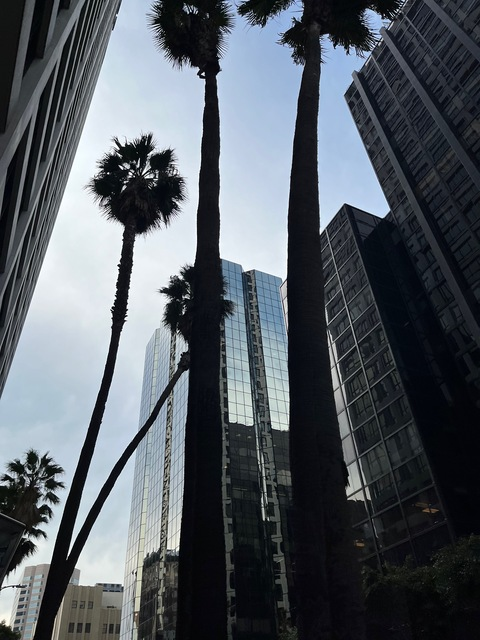 theeonlynicole header picture leakfans.com