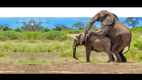 thefarmhouse header picture leakfans.com