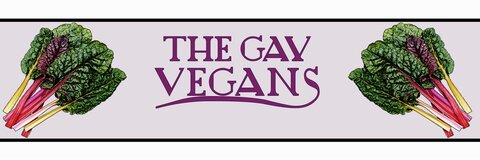 thegayvegans header picture leakfans.com