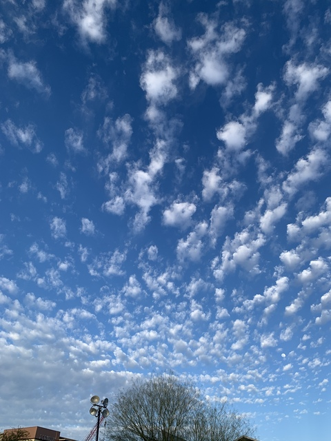 thegigi29 header picture leakfans.com