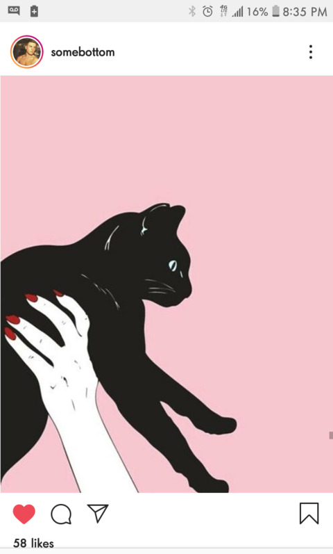 thegildedkiwi header picture leakfans.com