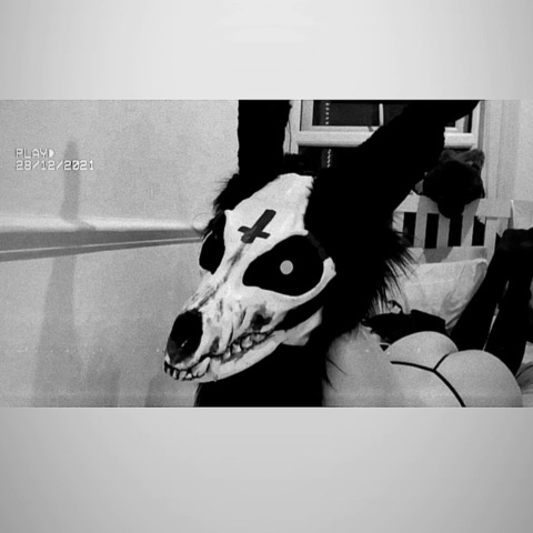 thelewdbunny header picture leakfans.com