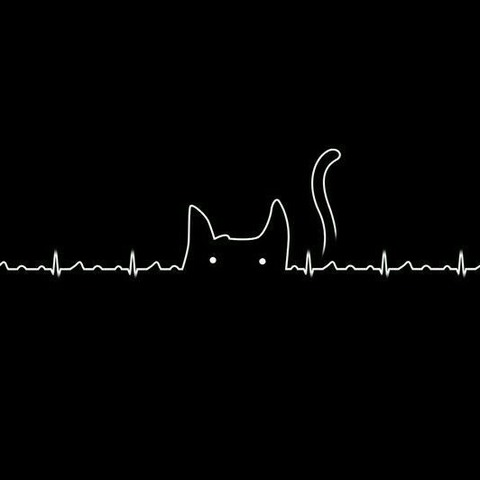 thelittlemeaow header picture leakfans.com