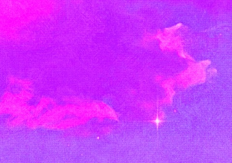 thelittlestwillow header picture leakfans.com