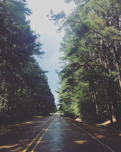 theofficalvip header picture leakfans.com