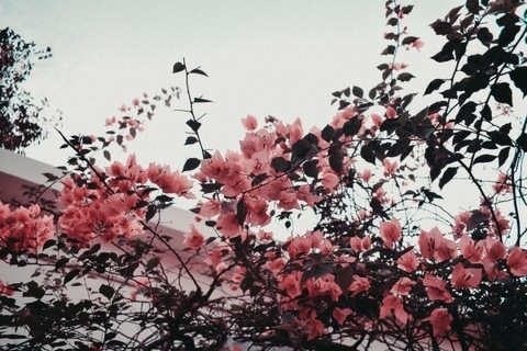 theonlysexilexi header picture leakfans.com