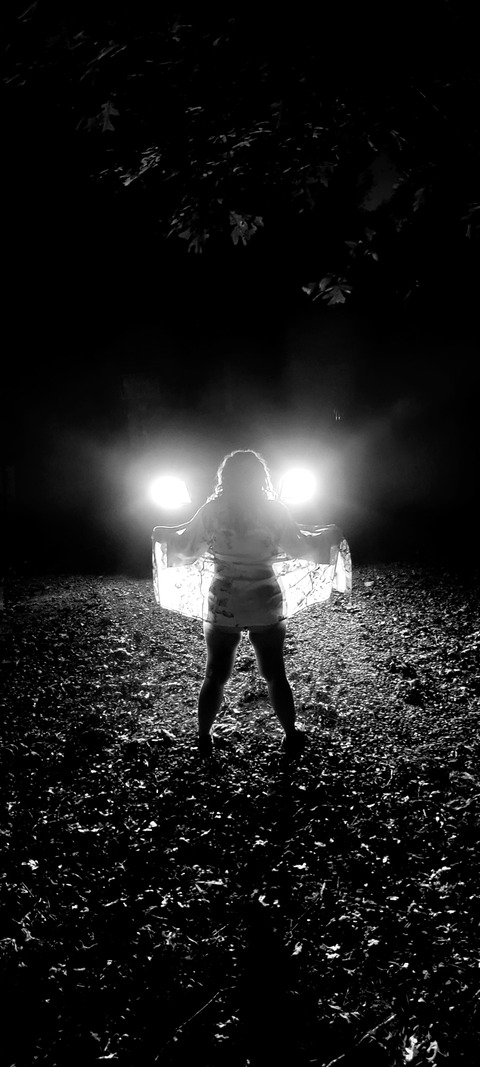 theperfecthotwife header picture leakfans.com