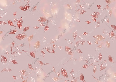 theprincesvip header picture leakfans.com