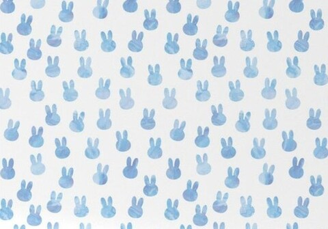 Header of therealbadbunny77