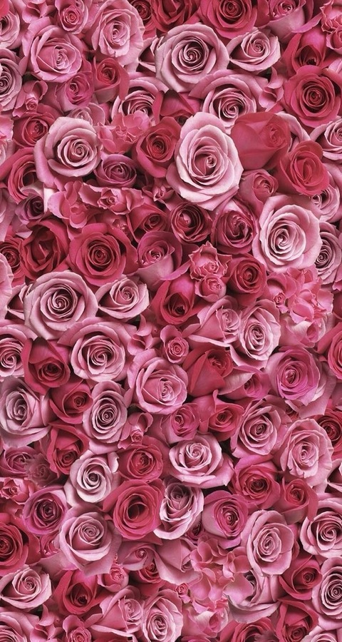 therealboujiet header picture leakfans.com