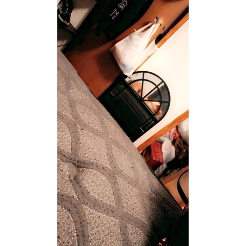 therealhoneydoll__ header picture leakfans.com