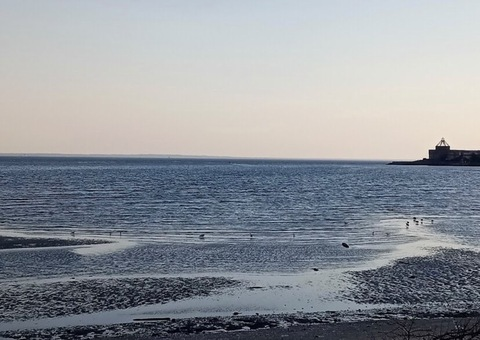 therealhopev header picture leakfans.com