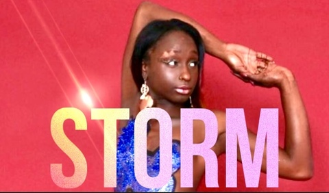 Header of thereallifestorm