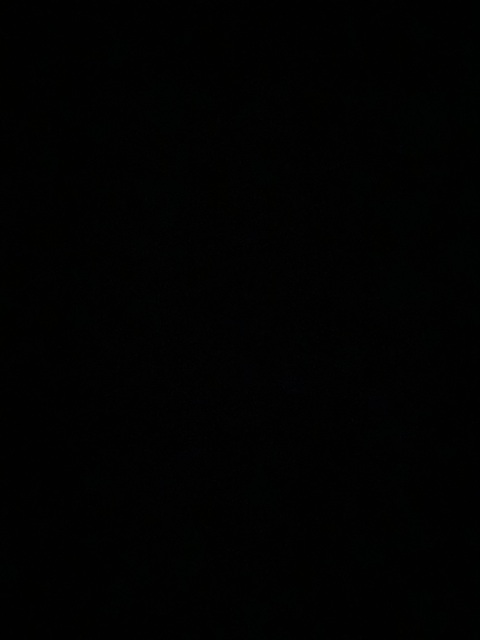 Header of therealmapleroses