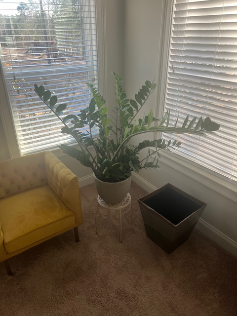 thesmoothone header picture leakfans.com