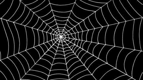 Header of thespiderm1lf