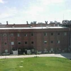 thesunny profile picture leakfans.com