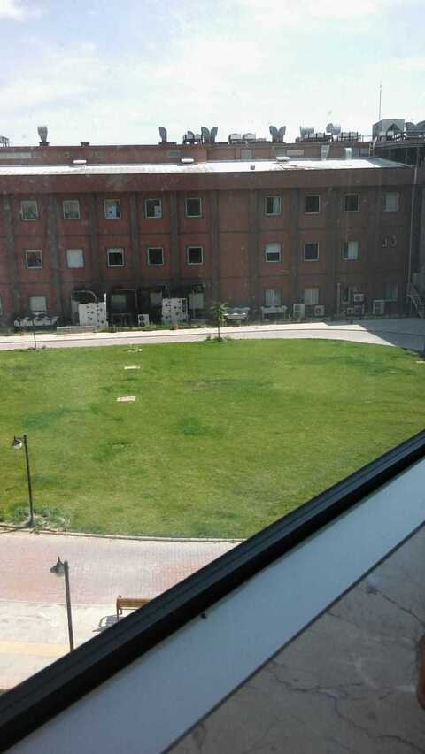 thesunny header picture leakfans.com