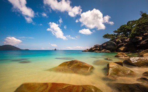 thewildking header picture leakfans.com