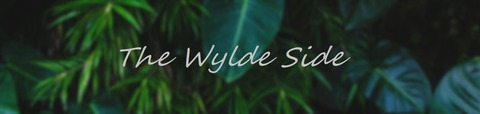 thewyldeside header picture leakfans.com