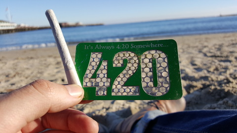 thicccstickty header picture leakfans.com