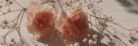 thicckkitten header picture leakfans.com