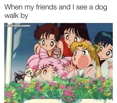 thiccstonergf header picture leakfans.com