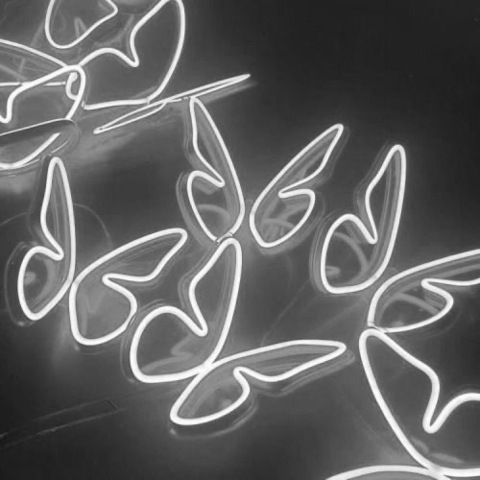 thicklatinagoddess header picture leakfans.com