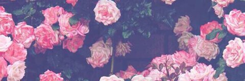 thisminefield header picture leakfans.com