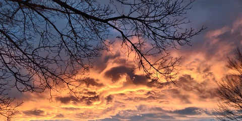 thomasyukon header picture leakfans.com