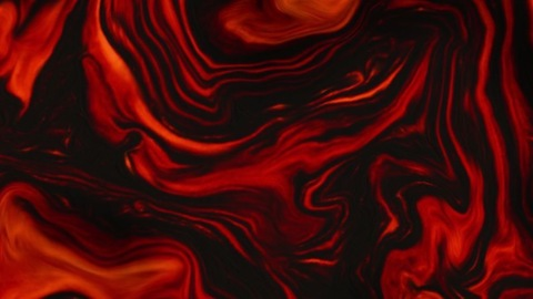 thotoro header picture leakfans.com