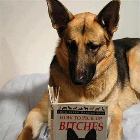 tierneytime header picture leakfans.com