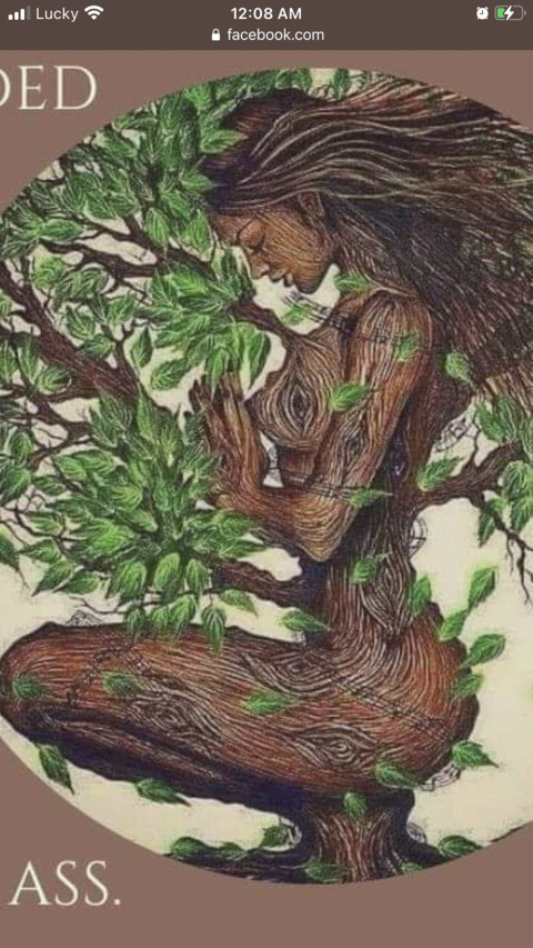 tiff2022 header picture leakfans.com