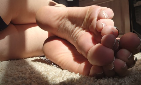 Header of tiffs_toes11