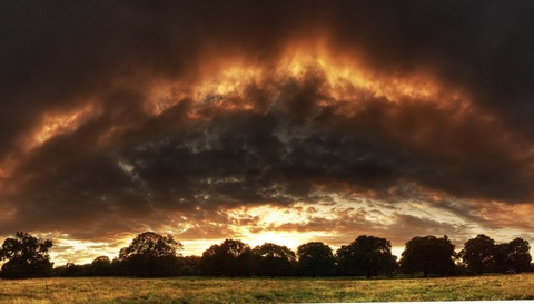 tifftiff999 header picture leakfans.com