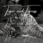 tigerandtigress profile picture